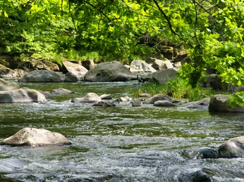 Fluss Chemnitz bei Markersdorf