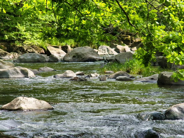 Fluss Chemnitz bei Markersdorf
