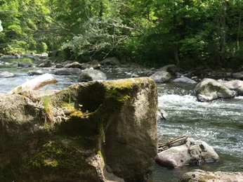 Fluss Chemnitz bei Markersdorf