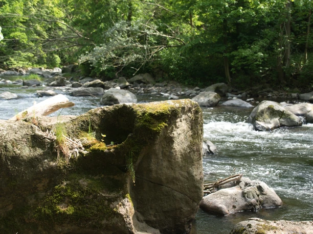 Fluss Chemnitz bei Markersdorf