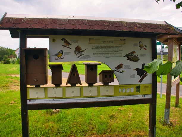Walderlebnispfad Wechselburg - Station 8