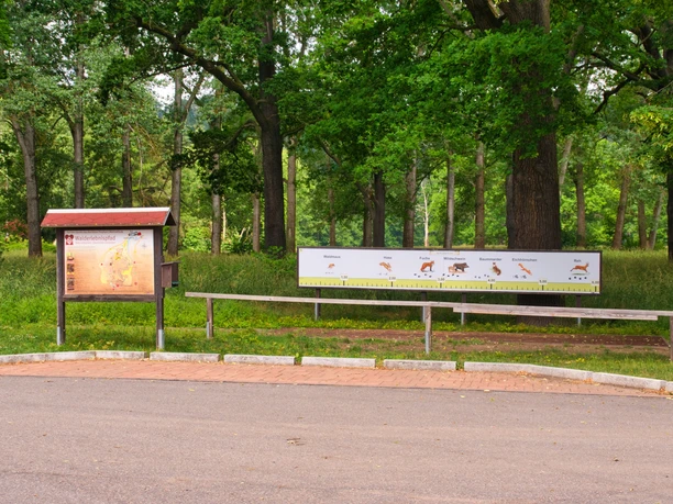 Walderlebnispfad Wechselburg - Station 1