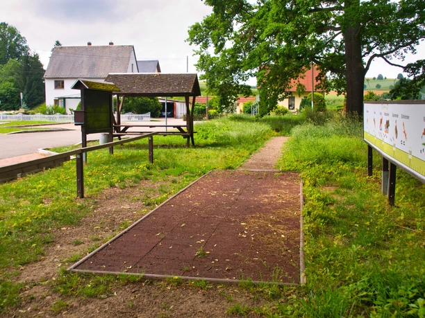 Walderlebnispfad Wechselburg - Station 1