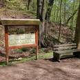 Walderlebnispfad Wechselburg - Station 2