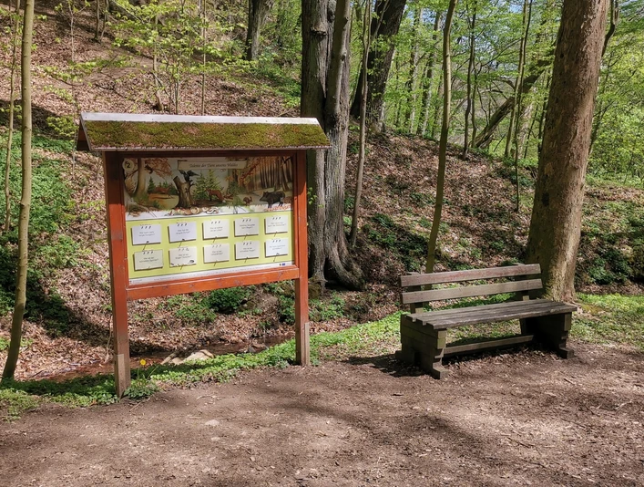 Walderlebnispfad Wechselburg - Station 2