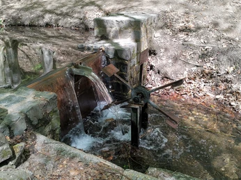 Walderlebnispfad Wechselburg - Wasserrad Söllichaubach