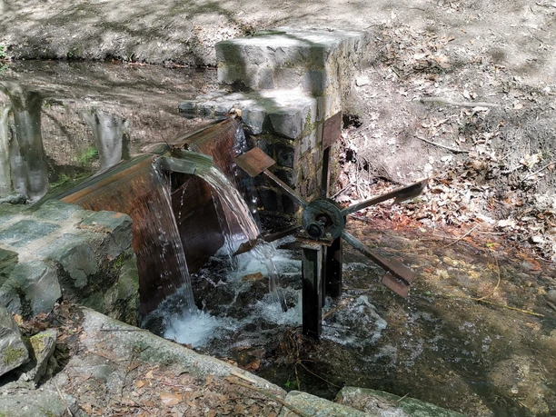 Walderlebnispfad Wechselburg - Wasserrad Söllichaubach