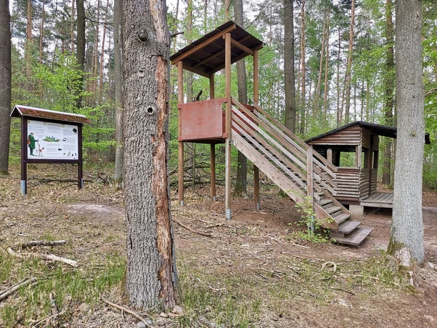Walderlebnispfad Wechselburg - Station 3