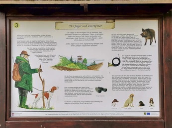 Walderlebnispfad Wechselburg - Station 3 - Infotafel