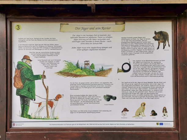 Walderlebnispfad Wechselburg - Station 3 - Infotafel