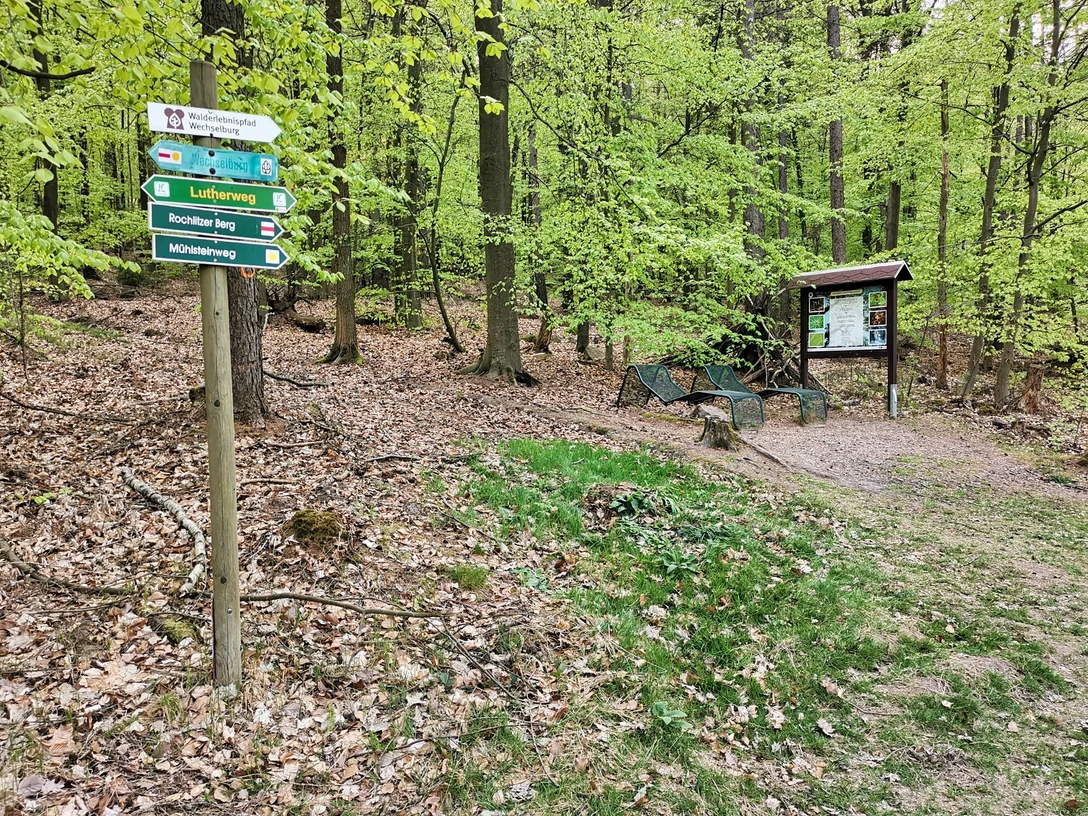 Walderlebnispfad Wechselburg - Station 4