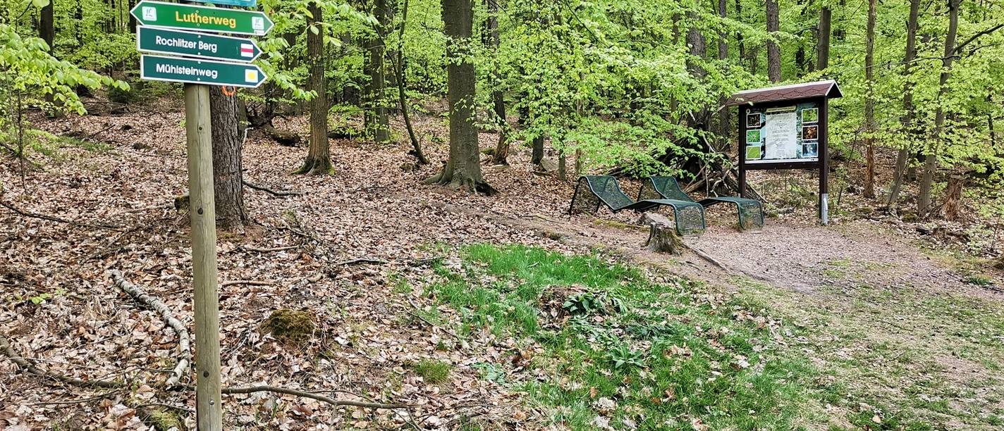 Walderlebnispfad Wechselburg - Station 4