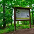 Walderlebnispfad Wechselburg - Station 6
