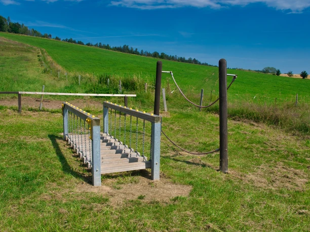 Walderlebnispfad Wechselburg - Station 7