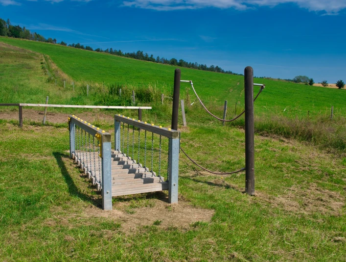 Walderlebnispfad Wechselburg - Station 7