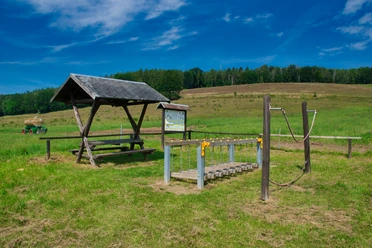 Walderlebnispfad Wechselburg - Station 7
