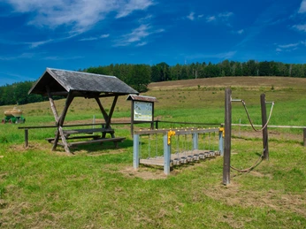 Walderlebnispfad Wechselburg - Station 7