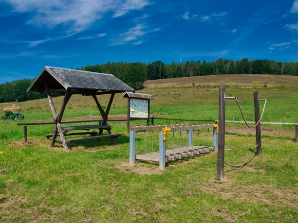 Walderlebnispfad Wechselburg - Station 7