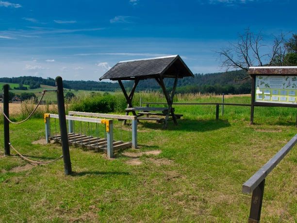 Walderlebnispfad Wechselburg - Station 7
