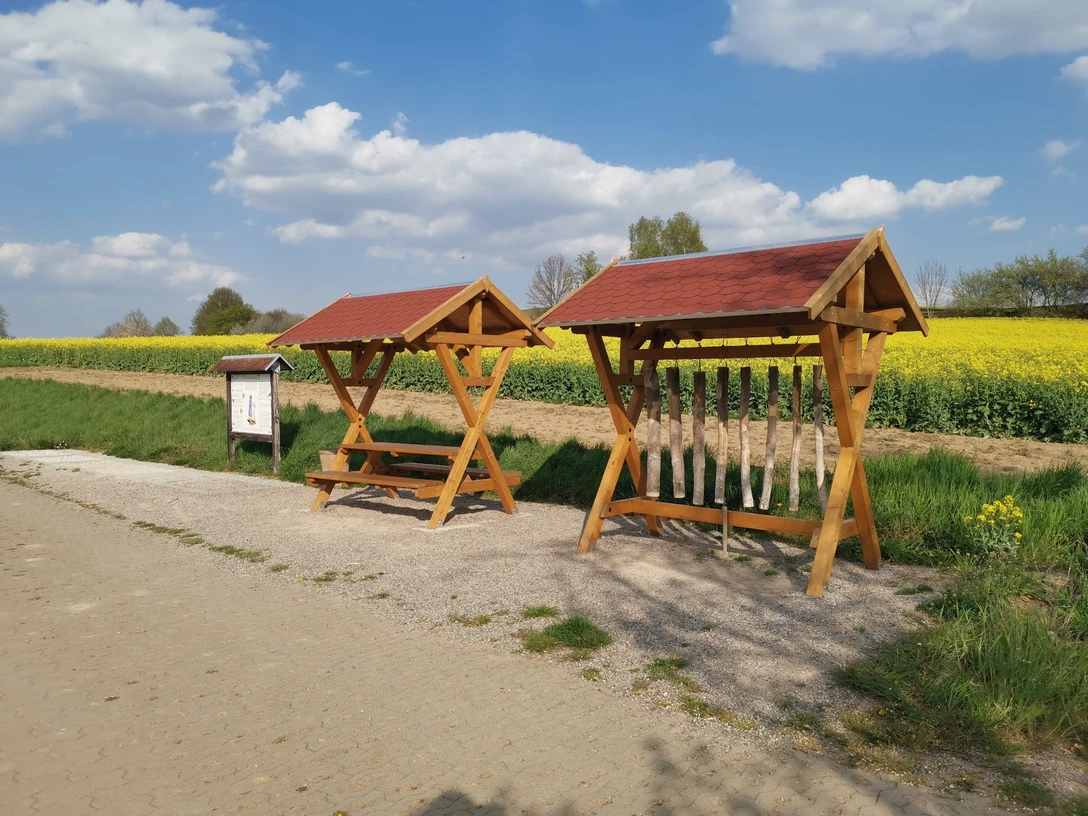 Walderlebnispfad Wechselburg - Station 9