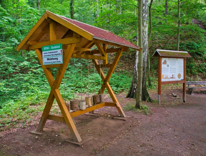 Walderlebnispfad Wechselburg - Station 10