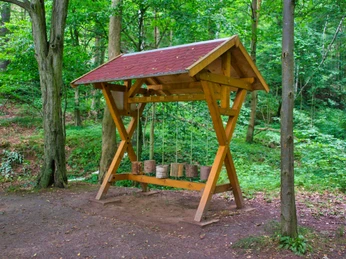 Walderlebnispfad Wechselburg - Station 10