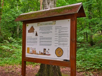 Walderlebnispfad Wechselburg - Station 10