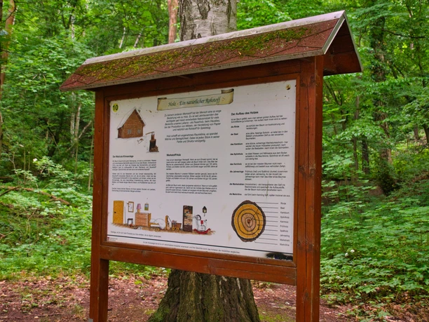 Walderlebnispfad Wechselburg - Station 10