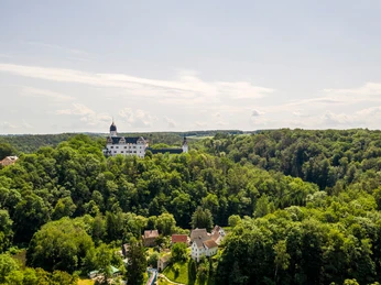 Luftaufnahme Schloss Rochsburg
