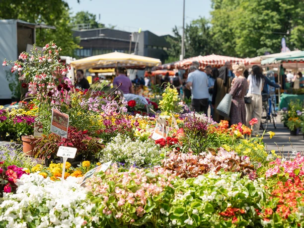 Höchst weekly market