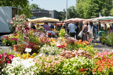 Wochenmarkt Höchst