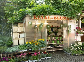 Wochenmarkt Sachsenhausen