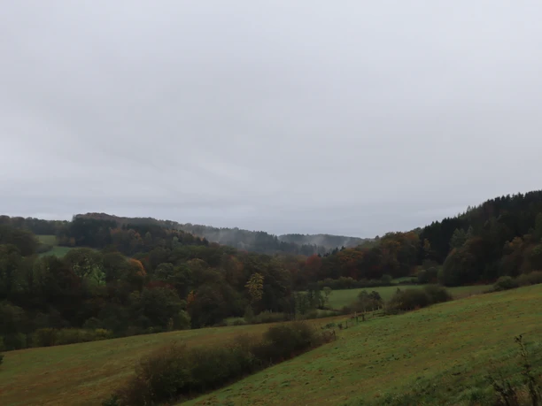 Herbstliche Landschaft mit sanften Hügeln und buntem Laub; ein nebliger Wald im Hintergrund.