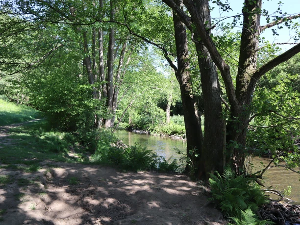 Flussufer mit üppigen Bäumen und klarem Wasser in natürlicher Umgebung bei Ennepetal unter blauem Himmel.