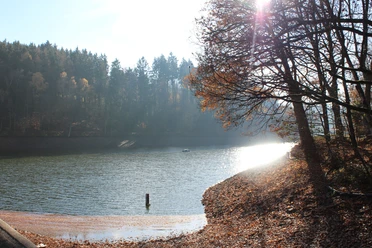 Sonnenstrahlen brechen durch Bäume und beleuchten eine ruhige Wasseroberfläche im Heilenbecke Stausee.