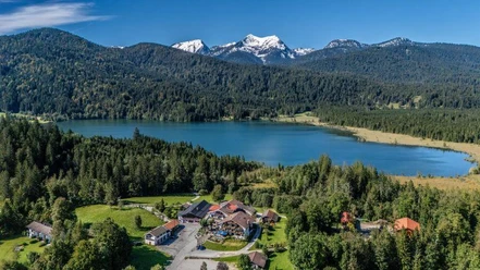 Exkursion / Vogelkundliche Rundwanderung um den Barmsee