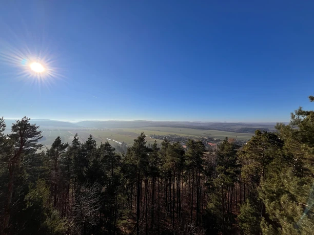 Uitzicht over een bos naar een weids landschap met velden onder een strakblauwe hemel; de zon schijnt fel.