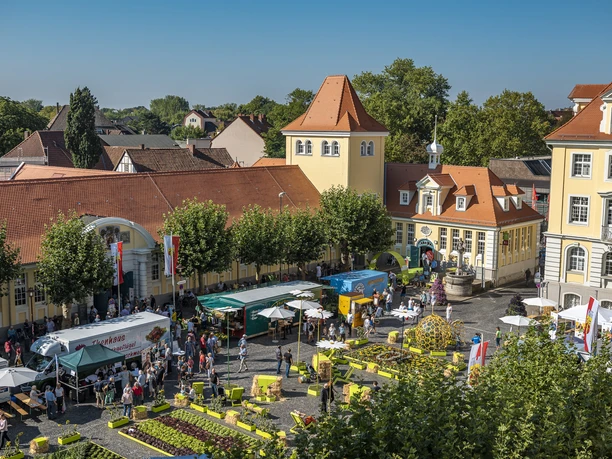 Markthalle_Herford_31.8.19_lowres_074.jpg Blick auf einen belebten Marktplatz mit bunten Ständen und historischen Gebäuden im Hintergrund.