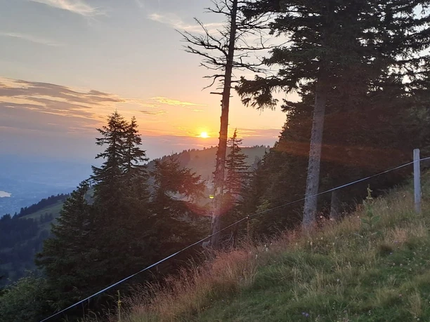 0a4c9e7f 4575 4ba3 87c5 9dd4aafd8538