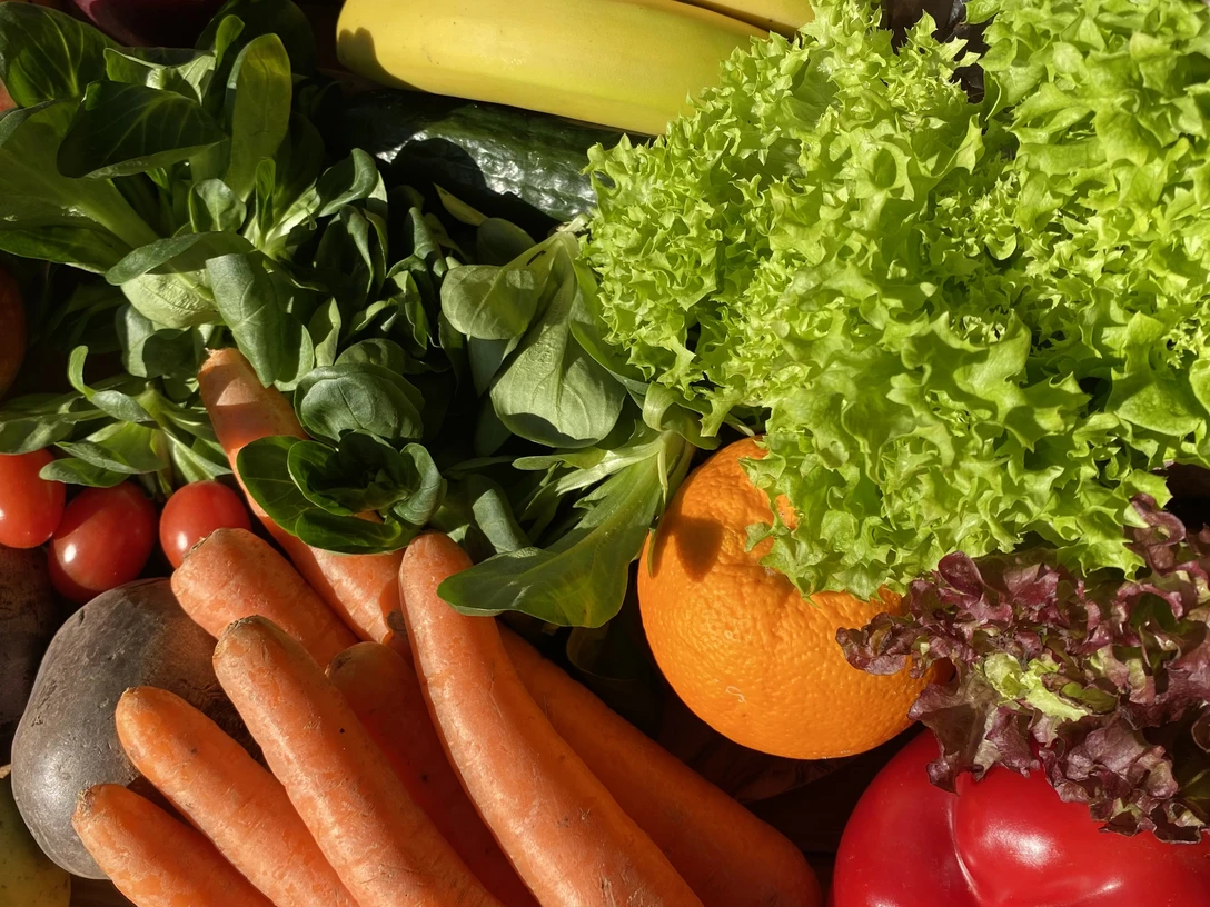 Obst und Gemüse07_CCBYSA_Teutoburger-Wald_Stadt_Schloß_Holte-Stukenbrock.JPG Frisches Obst und Gemüse wie Äpfel, Bananen, Salat, Möhren und Tomaten, appetitlich arrangiert.