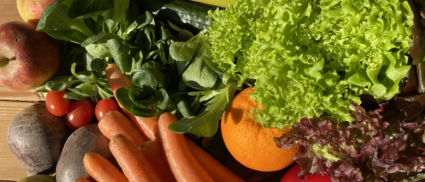 Obst und Gemüse07_CCBYSA_Teutoburger-Wald_Stadt_Schloß_Holte-Stukenbrock.JPG Frisches Obst und Gemüse wie Äpfel, Bananen, Salat, Möhren und Tomaten, appetitlich arrangiert.