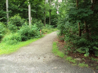 Salzgitter Höhenzug, Waldeingang Wanderweg 25 und 26
