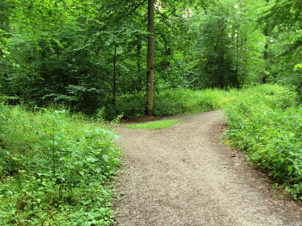 Salzgitter Höhenzug, Weggabelung Wanderwege 25 und 26