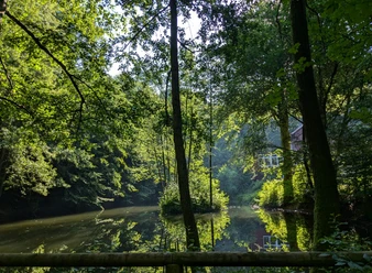 Vijver_Bij de vijvers