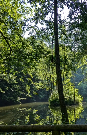 Teich_An den Teichen Teich_An den TeichenPond_At the pondsDam_Ved dammeneVijver_Bij de vijvers