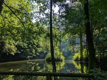1Teich_An den Teichen Teich_An den Teichen