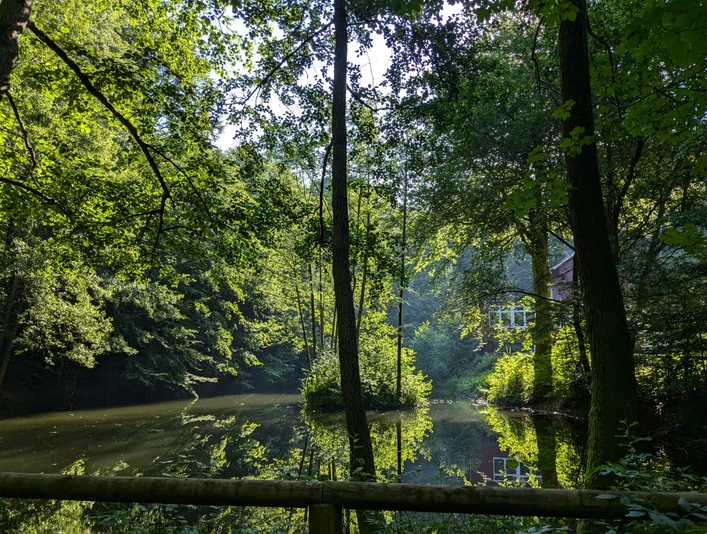 1Teich_An den Teichen Teich_An den Teichen