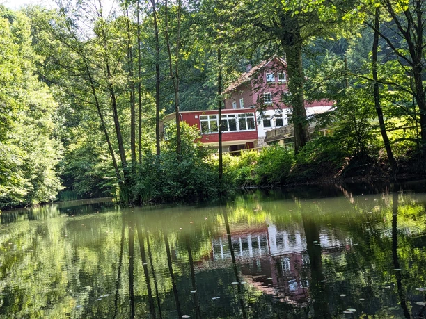 Een rood huis aan de rand van het bos wordt weerspiegeld in de rustige vijver, omringd door dicht groen gebladerte.