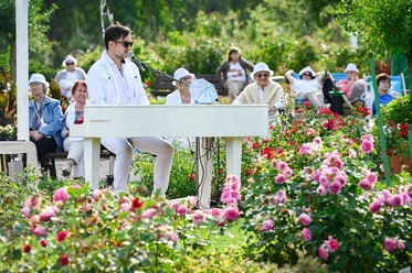 Picknick Konzert in Weiß im Europa-Rosarium Sangerhausen Picknick Konzert in Weiß im Europa-Rosarium Sangerhausen