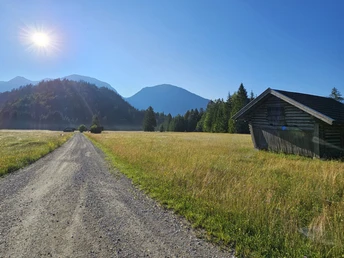 Reschbergwiesen im Sommer
